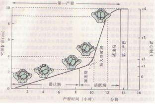 亞太醫(yī)械市場(chǎng)駛?cè)肟燔?chē)道 高于全球增速